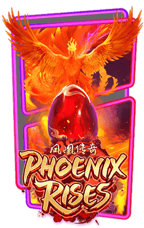ปก phoenix rises