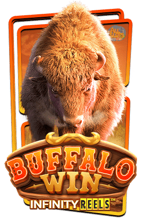Buffalo-win